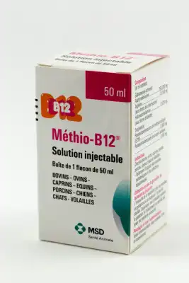 Methio B 12, Solution Injectable à Cazouls-lès-Béziers