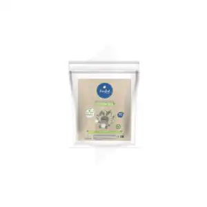 Ainsifont Rectangles De Coton Bio 180 Cotons à QUINCAMPOIX