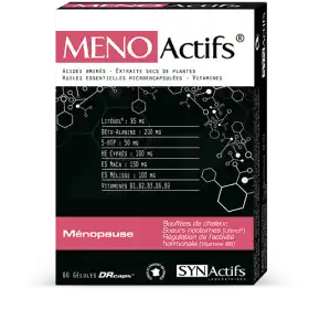 Synactifs Menoactifs Gélules B/60 à BIARRITZ