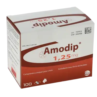 Amodip 1.25 Chat Comprimés B/00