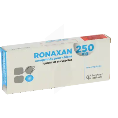 Ronaxan 250 Mg Comprimes Pour Chiens, Comprimé à RUMILLY