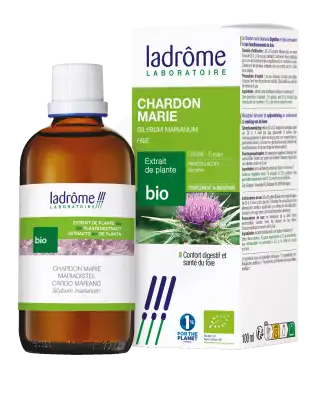 Ladrôme Extrait De Plante Chardon-marie Fruit 100ml à Gardanne