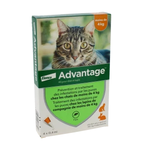 Advantage 40 Pour Chat Et Lapin, Solution Pour Spot-on