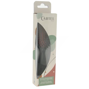 Cartel Brosse Cheveux Pneumatique Sanglier Picot Nylon