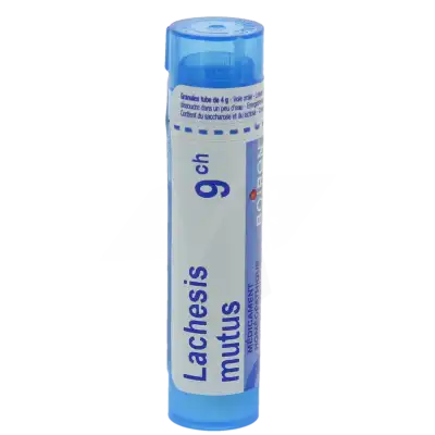 Boiron Lachesis Mutus 9ch Granules Tube De 4g à STRASBOURG