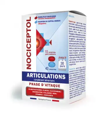 Nociceptol Attaque Comprimé Articulations B/50 à Paris