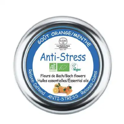 Elixirs & Co Pastilles Anti-stress Menthe Orange Bio B/45g à ANGLET
