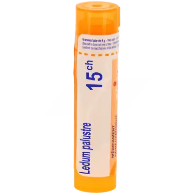 Ledum Palustre 15ch Granules à LIVRON-SUR-DROME