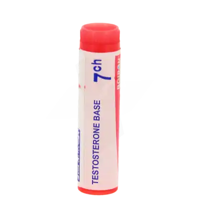 Boiron Testosterone Base 7ch Globules Dose De 1g à Annemasse