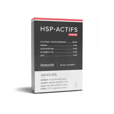Aragan Synactifs Hspactifs Gélules B/10 à LA-RIVIERE-DE-CORPS