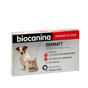 Biocanina Dermatt Comprimés B/20