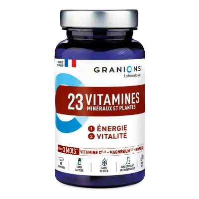 Granions 23 Vitamines Minéraux Et Plantes Comprimés B/90 à Bordeaux