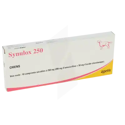 Synulox 250, Comprimé à Abbeville