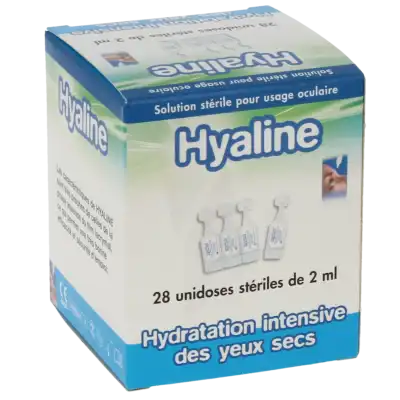 Hyaline, Bt 28 à Chelles