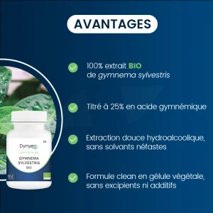 Dynveo Gymnema Sylvestris Bio Standardisé 25% Acide Gymnique 250 Mg 60 Gélules