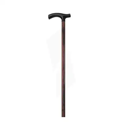 HERDEGEN CANNE EN T BOIS B/1