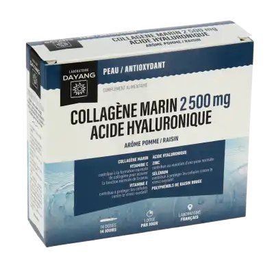 Dayang Collagène Marin Acide Hyaluronique S Buv 14unidoses à PODENSAC