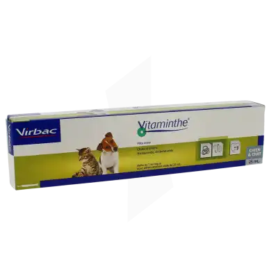 Vitaminthe, Pâte Orale à Saint-Chef
