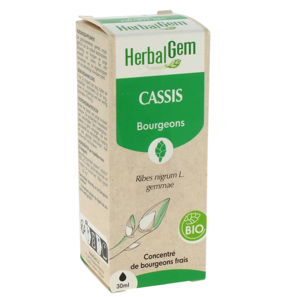 Herbalgem Cassis Macérat Bio Fl Cpte-gttes/30ml