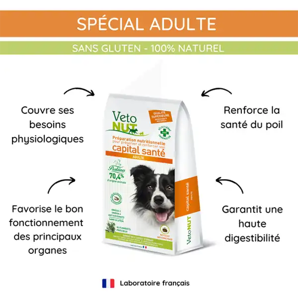 Vétonut Croquettes Pour Chien « adulte » Carton