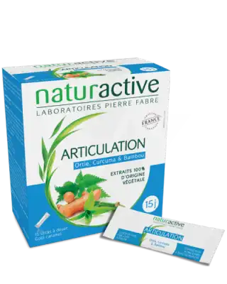 Naturactive Phytothérapie Fluides Solutions Buvable Articulation 15 Sticks/10ml à ANDERNOS-LES-BAINS