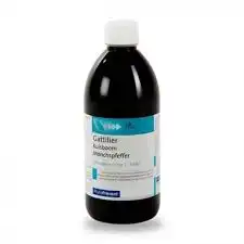 Eps Phytostandard Gattilier Extrait Fluide Fl/500ml à VALS-LES-BAINS