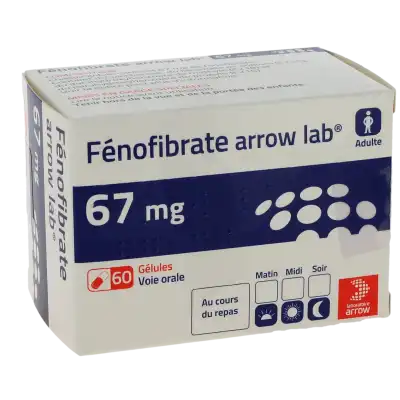 FENOFIBRATE ARROW LAB 67 mg, gélule