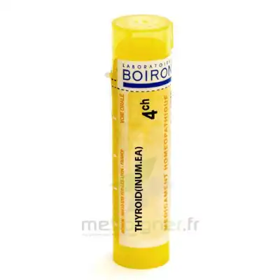 Boiron Thyroidea 4ch Granules Tube De 4g à Saint-Médard-en-Jalles