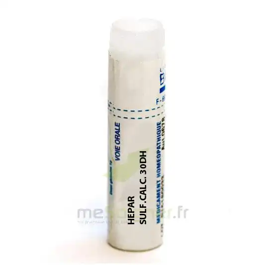 Boiron Hepar Sulfuris Calcareum 30dh Globules Dose De 1g