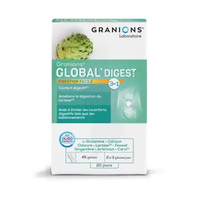 Granions Global Digest Gélules B/45 à Hagetmau