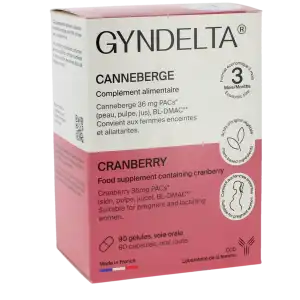 Gyndelta Confort Urinaire 3 Mois Gélules B/90 à CERNAY