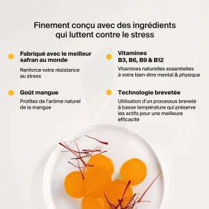 Naali Anti-stress Au Safran Gummies B/20