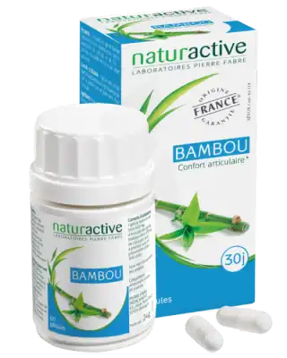 Naturactive Phytothérapie Bambou Gélules Pilulier/60 à MONTAIGUT-SUR-SAVE