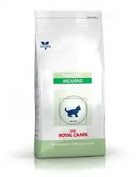 Royal Canin Chat Pediatric Weaning 2kg à VERNOUX EN VIVARAIS