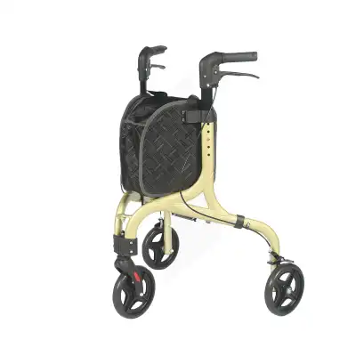 Vitadomia Déambul 3 Roues Bge à Pavie