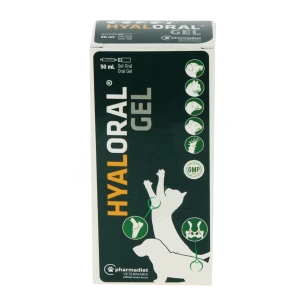 Hyaloral Gel Or Fl/50ml