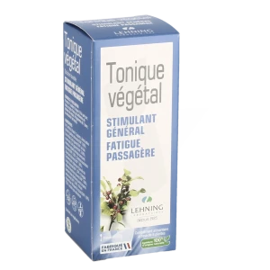 Lehning Tonique Vegetal S Buv Fl/250ml