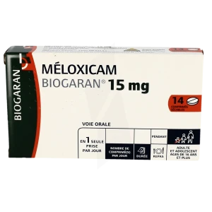 Meloxicam Biogaran 15 Mg, Comprimé Sécable