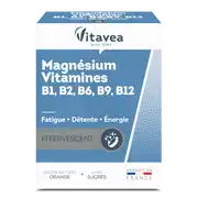 Nutrisanté Magnésium + Vitamines B1 B2 B6 Comprimés Effervescents 2t/12 à VINCENNES