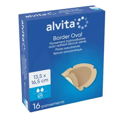 Alvita Border Oval Pansements Hydrocellulaire 13,5x16,5cm B/16 à Eysines