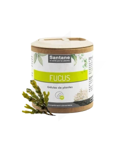 Santane Fucus Gélules De Poudre De Plantes 150mg B/60