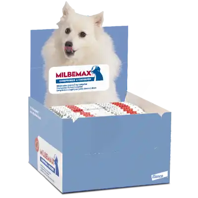 Milbemax 2,5 Mg/25 Mg Comprimes A Croquer Pour Petits Chiens Et Chiots, Comprimé à Croquer à MARSEILLE