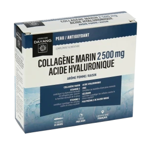 Dayang Collagène Marin Acide Hyaluronique S Buv 14unidoses