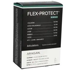 Synactifs Flexprotect Gélules B/60 à CANEJAN