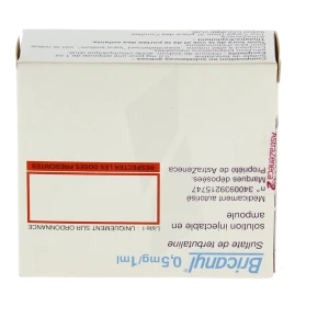 Bricanyl 0,5 Mg/1 Ml, Solution Injectable En Ampoule