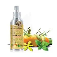 Le Petit Spray Spray Ambiant Sensuel 100ml