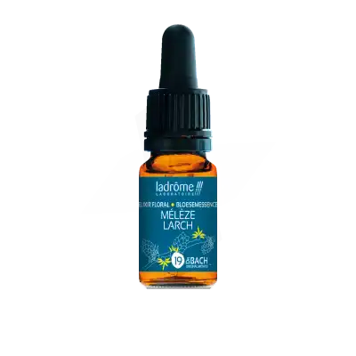Ladrôme Elixir Floral 19 Mélèze Bio 10ml à BOURG-SAINT-MAURICE
