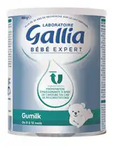 Gallia Bebe Expert Gumilk Poudre Orale épaissante B/400g à SEYNOD