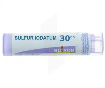 Boiron Sulfur Iodatum 30ch Granules Tube De 4g à DAMMARIE-LES-LYS